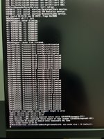 IMG_1639 Large.jpeg