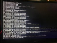 Acer.jpg