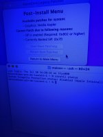 IMG_0308.jpeg