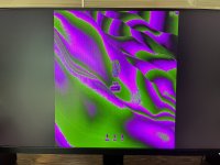 IMG_2562.jpeg