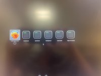 IMG_0381.jpeg