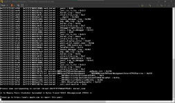 ryzentosh kernel panic.png