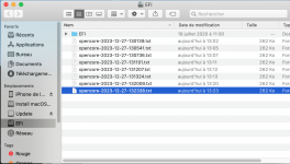 Capture d’écran 2023-12-27 à 14.32.51.png