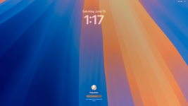 LWScreenShot 2024-06-15 at 1.17.24 AM.png