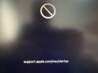 WhatsApp Image 2024-07-14 at 15.24.32.jpeg