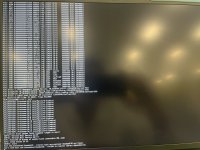 IMG_0606.jpeg