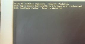 IMG_0213.jpeg