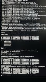 IMG_3966.jpeg