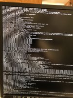 IMG_0285.jpeg