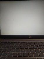 white-screen.jpeg