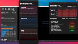 CINE-AMD.jpg