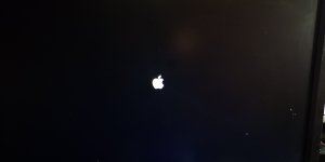 IMG_20211119_121715.jpg