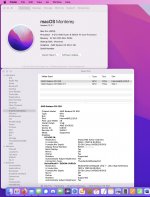 Saphire RX 550 2GB Gaming MacOS 12.0.1.jpg