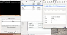 Screen Shot 2022-02-02 at 10.02.20.png