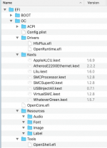 EFI for High Sierra.png
