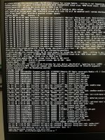 IMG_0232.jpeg