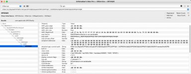 IORegistryExplorer.jpg