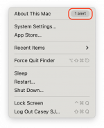 Screenshot 2023-01-02 at 1.34.47 PM.png