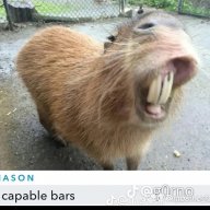 poob