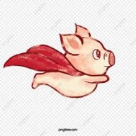 whenpigfly
